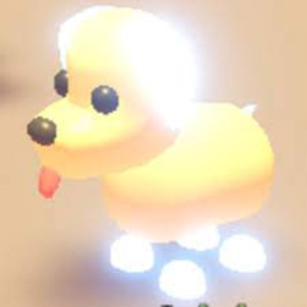Neon Dog
